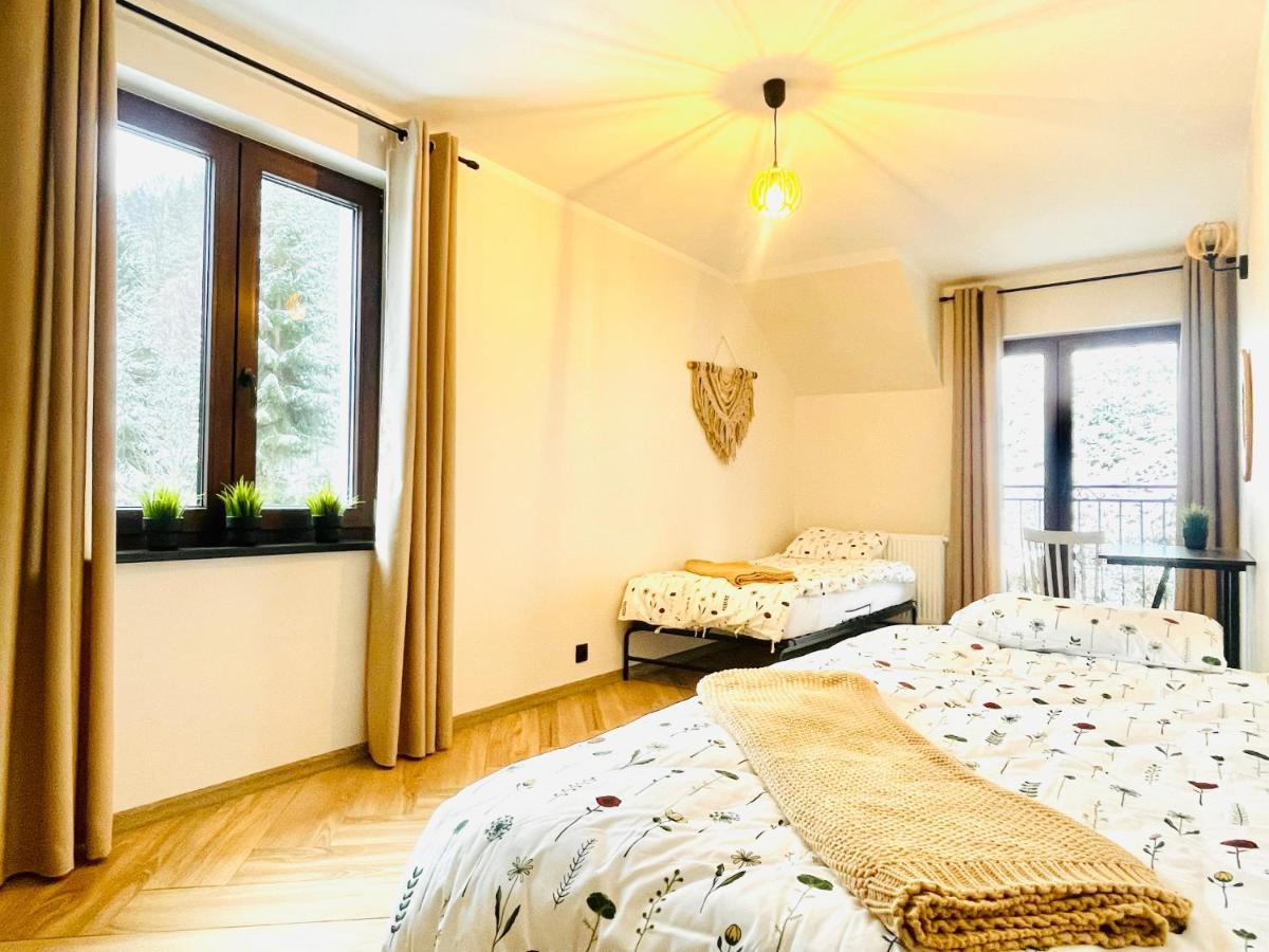 Gorska Cisza - Duzy, Komfortowy, Wyjatkowy Apartament Stronie Śląskie Eksteriør bilde