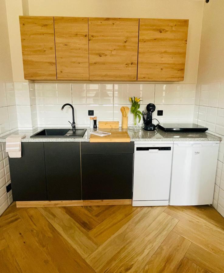 Gorska Cisza - Duzy, Komfortowy, Wyjatkowy Apartament Stronie Śląskie Eksteriør bilde